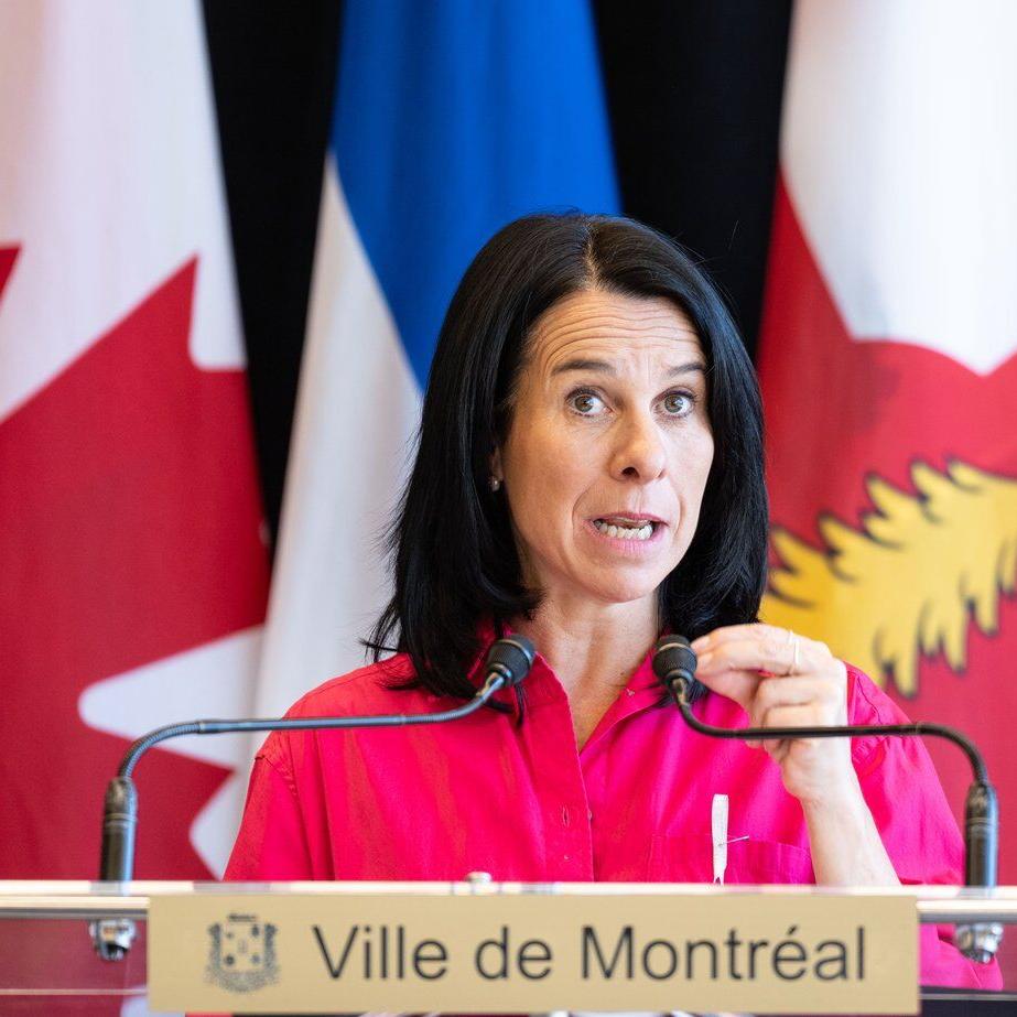 Arrests will take time as protesters at violent demo were masked: Montreal police